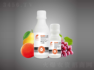 ����ϡ��14Ԫ��-Ӣ¶���շ�