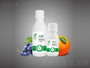 �л��أ���Ũ���طʣ�-Ӣ¶���շ�