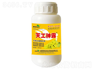 �칤��¶���޺˰�����ר���ͣ�-������