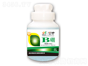 B��-�е���ũ