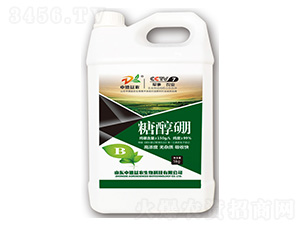 �Ǵ���5kg-�е���ũ