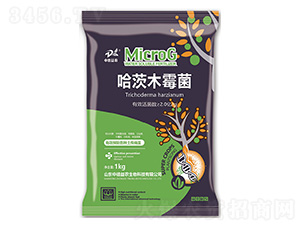 ����ľù��1kg-�е���ũ