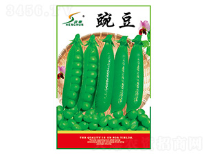 ���㶹����-�Ừ��ҵ