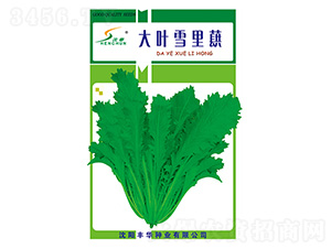 ��Ҷѩ��ޮ-ѩ��ޮ����-�Ừ��ҵ