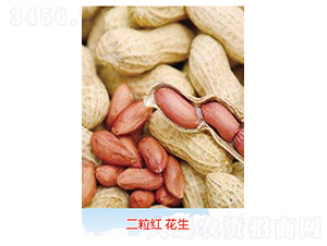 �����컨��-��������-�Ừ��ҵ