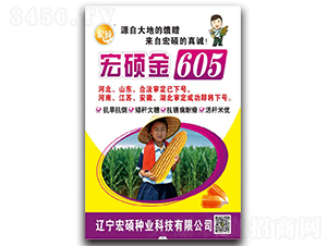��˶��605-��������-�п�����