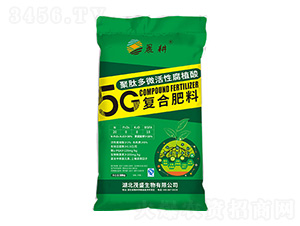 5G���Ķ�΢���Ը�ֲ�Ḵ�Ϸ���20-8-8-5G-����-ïʢ����
