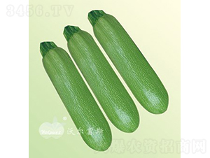 ��������108F1���ͺ��߲�����������«��-����«����-�ֶ���˹