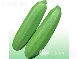 ��������208F1���߲����̴�������«��-����«����-�ֶ���˹
