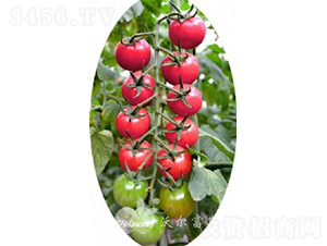 �۱���101F1���߲��۹�С���ѣ�-��������-�ֶ���˹