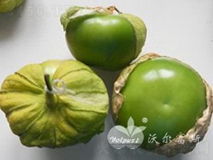 �̱�ʯF1����ɫ��Ƥ��ɫ����Ʒ�֣�-��������-�ֶ���˹