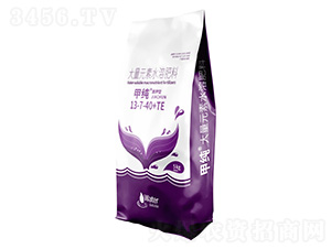 �߼��ʹ���Ԫ��ˮ�ܷ���13-7-40+TE-�״�-���̩