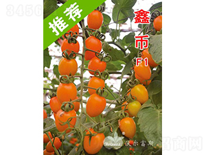 �α�F1��̨��������ɫ�ƹ�С���ѣ�-��������-�ֶ���˹