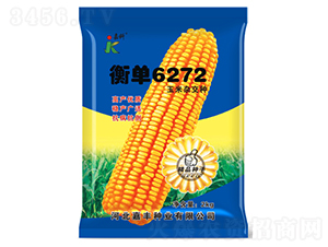 �ⵥ6272-��������-�ο�