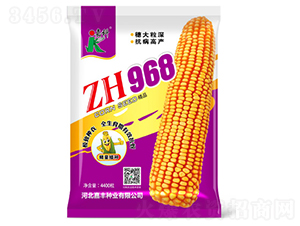 ZH968-��������-�ο�