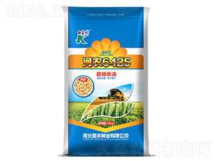 ��ũ6425-С������-�ο�
