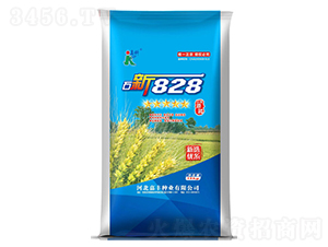 ʯ��828-С������-�ο�
