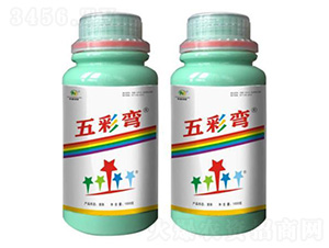 ����ֲ��ˮ�ܷ���-�����-�����п�
