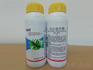 ���ƽ�˾�������500g-һͰ��-��������