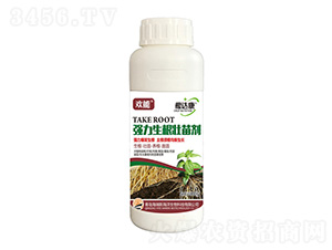 500g���ܡ����￵��ǿ������׳���-����˹