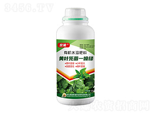 1000g��Ҷ����һ����-����-����˹