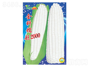 ��������-���Ŵ��2000-����