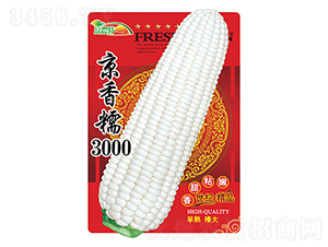 ��������-����Ŵ3000-����