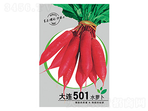 ˮ�ܲ�-����501-����