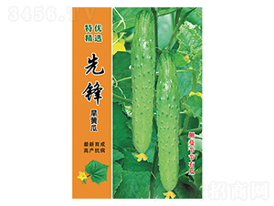 �ȷ溵�ƹ�-����