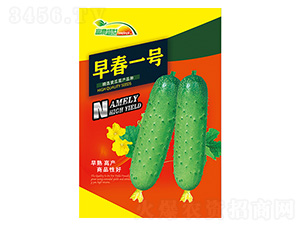 �紺һ��-����