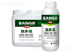 �Ķ൪360-20-20-���ҵ