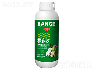 �޶���-���ҵ