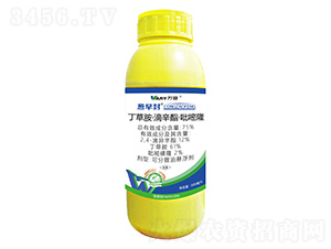 75%���ݰ���������������¡-�����-����