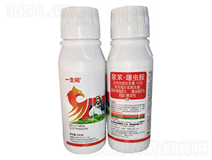 10%��������氷������200g-һ֧��-��������
