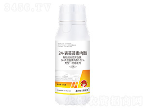 24-��̦ܿ����������Һ��100g-��ʱ������״Ԫ-��ʱ��