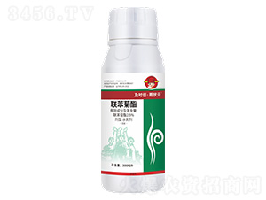 2.5%��������ˮ���500ml-��ʱ������״Ԫ-��ʱ��