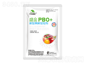 ���͹����ٿؼ�-ʢ��PBO+-�ֲ��-ʥ���ҵ