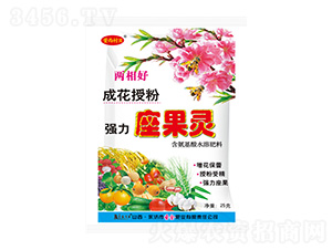 ǿ��������-�����屴-ʥ���ҵ