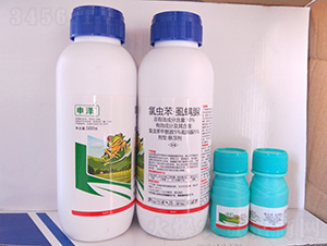 10%�ȳ汽��ʭ����������-����-��������