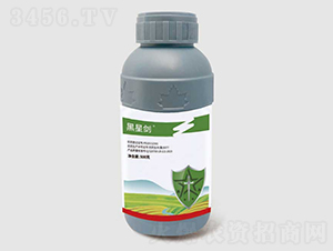 10%�ȳ汽��ʭ����������-���ǽ�-��ũ��