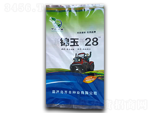 �½�����28-��������-�п�����