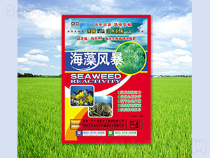 ����籩-����