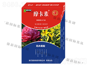 �������䰱��������Һ�ķ�-Ħ����-ǿо