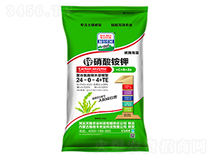 п����識�24-0-4+TE-����ũҵ