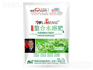 ��ͨ���ͣ��߶�Ҷ���40g-�»���½