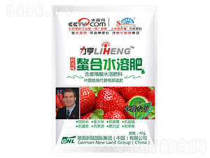 ����ݮר�ã��߶�Ҷ���40g-�»���½