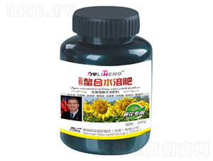 300g�߶�Ҷ��ʣ�����ר�ã�-�»���½