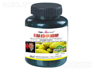 �߶�Ҷ��ʣ����ܹ�ר�ã�300g-�»���½