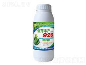 ��ѿ���920-��������