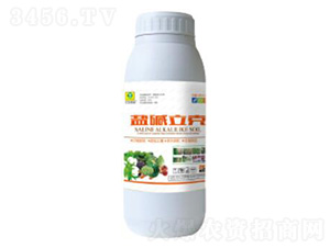 1000ml�μ�����-��������